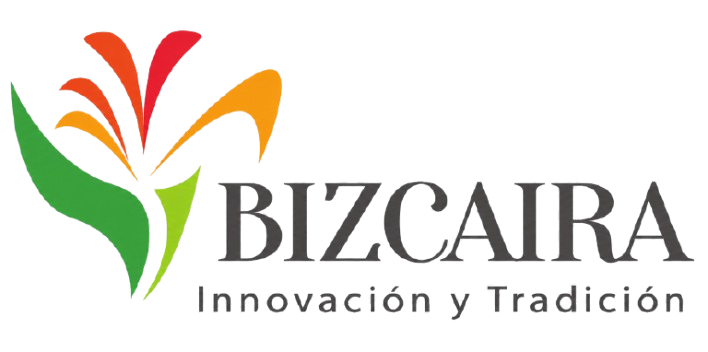 bizcaira.com